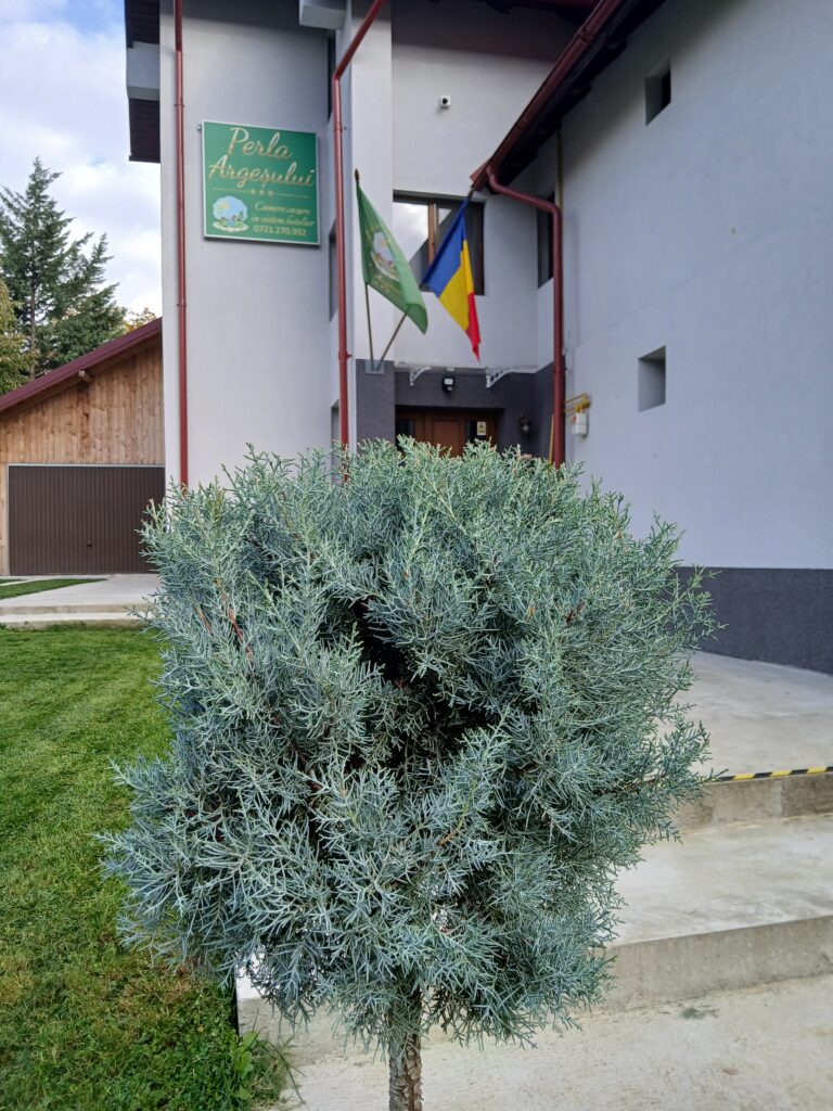 Regulament cazare Perla Argesului
